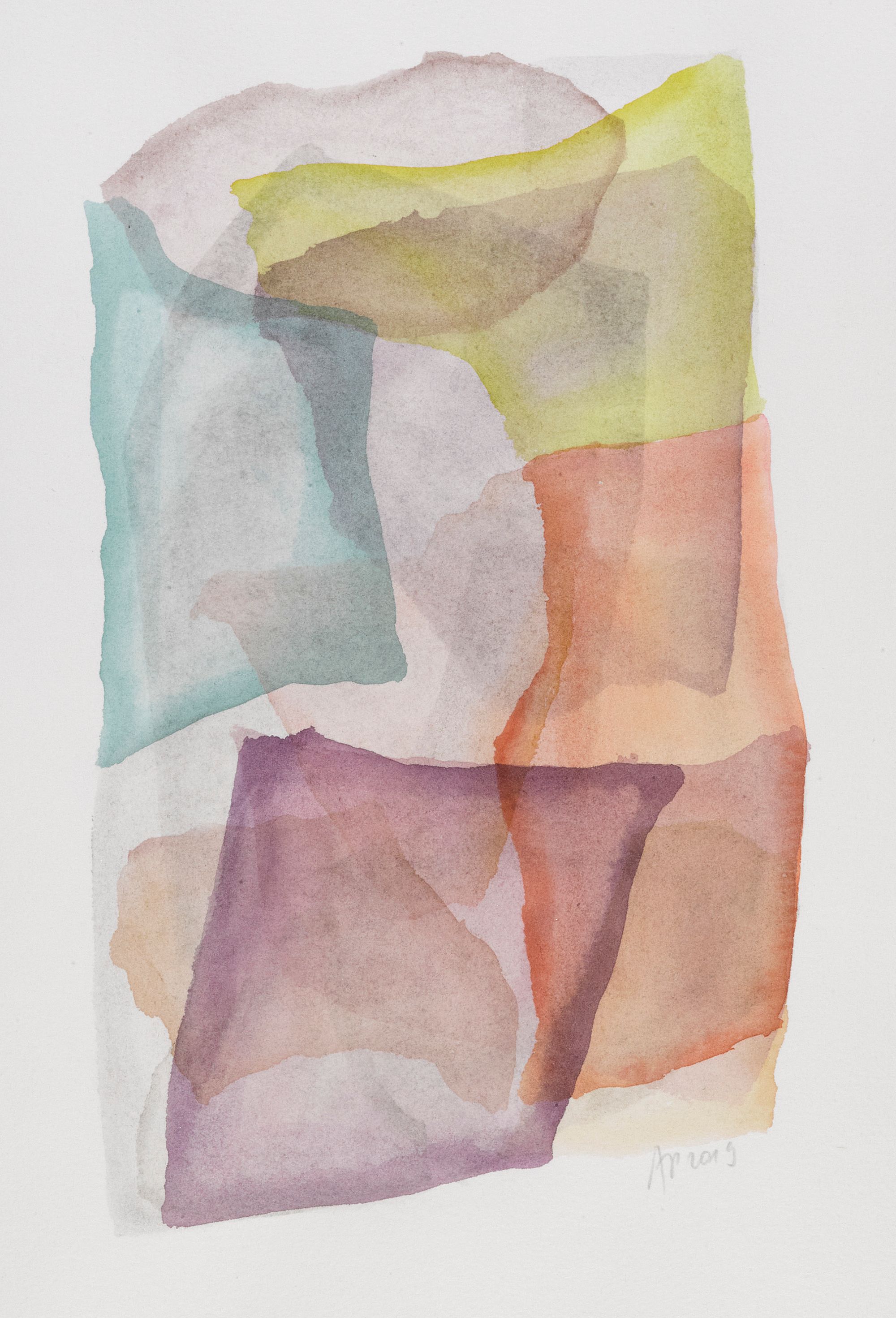 Skin &amp; Continents, 32 x 25cm, 2020