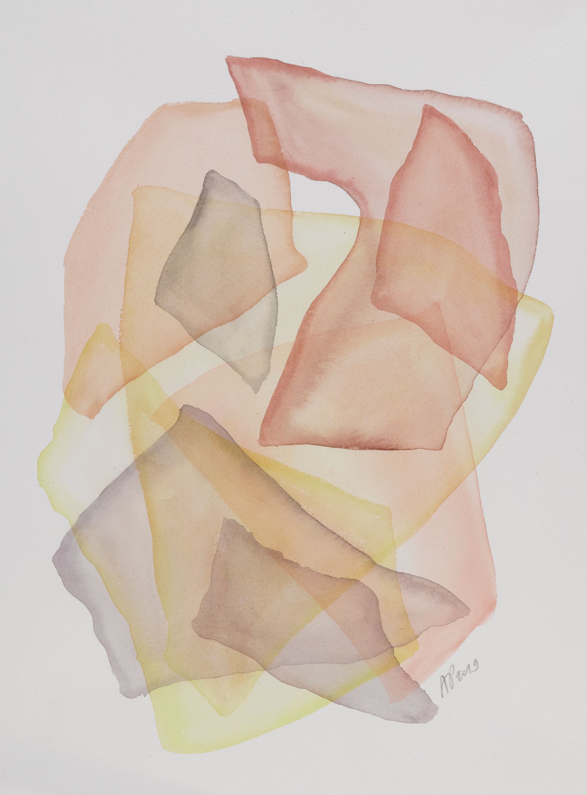 Skin &amp; Continents, 32 x 25cm, 2020