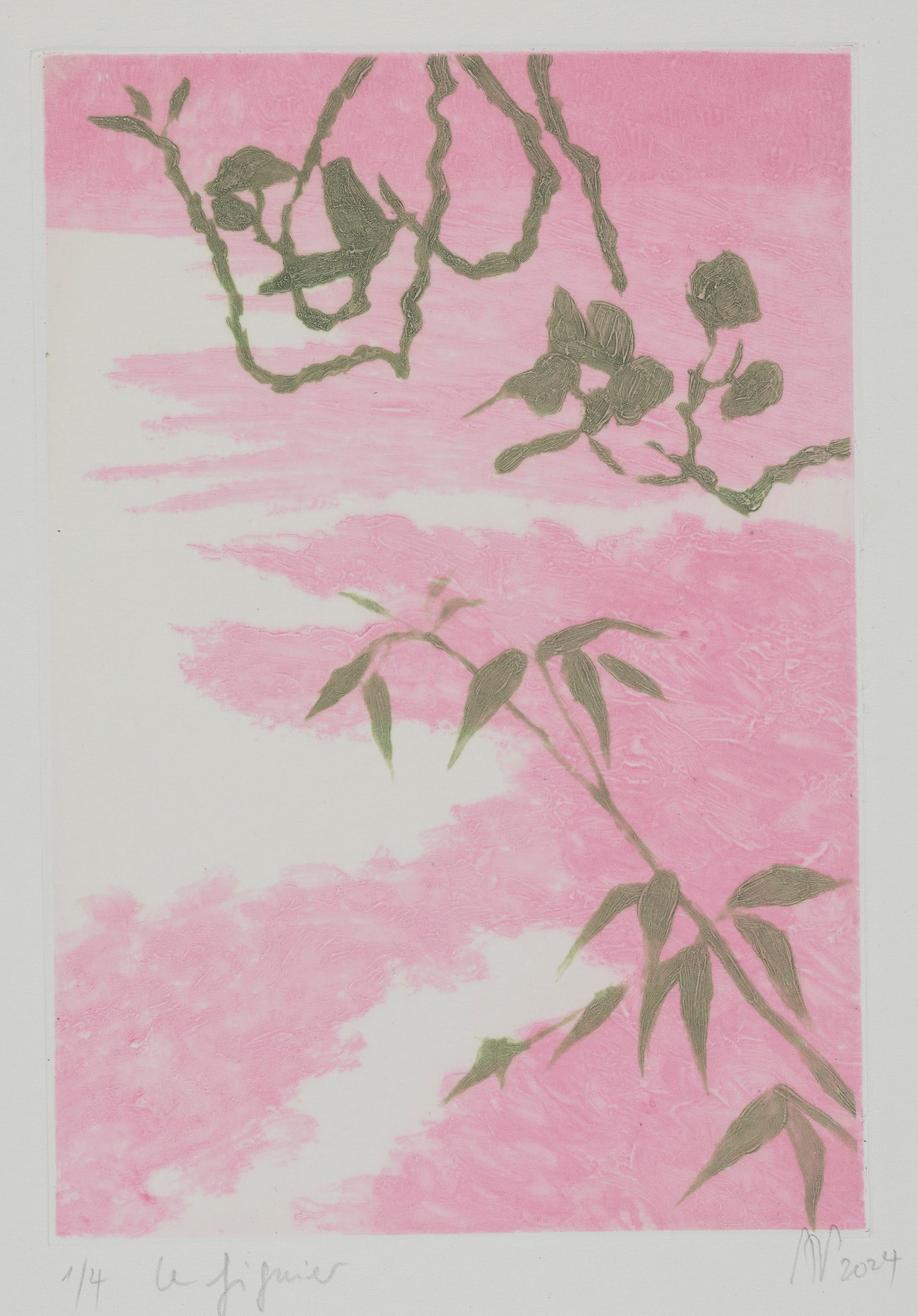 Le Figuier, 2024, gravure