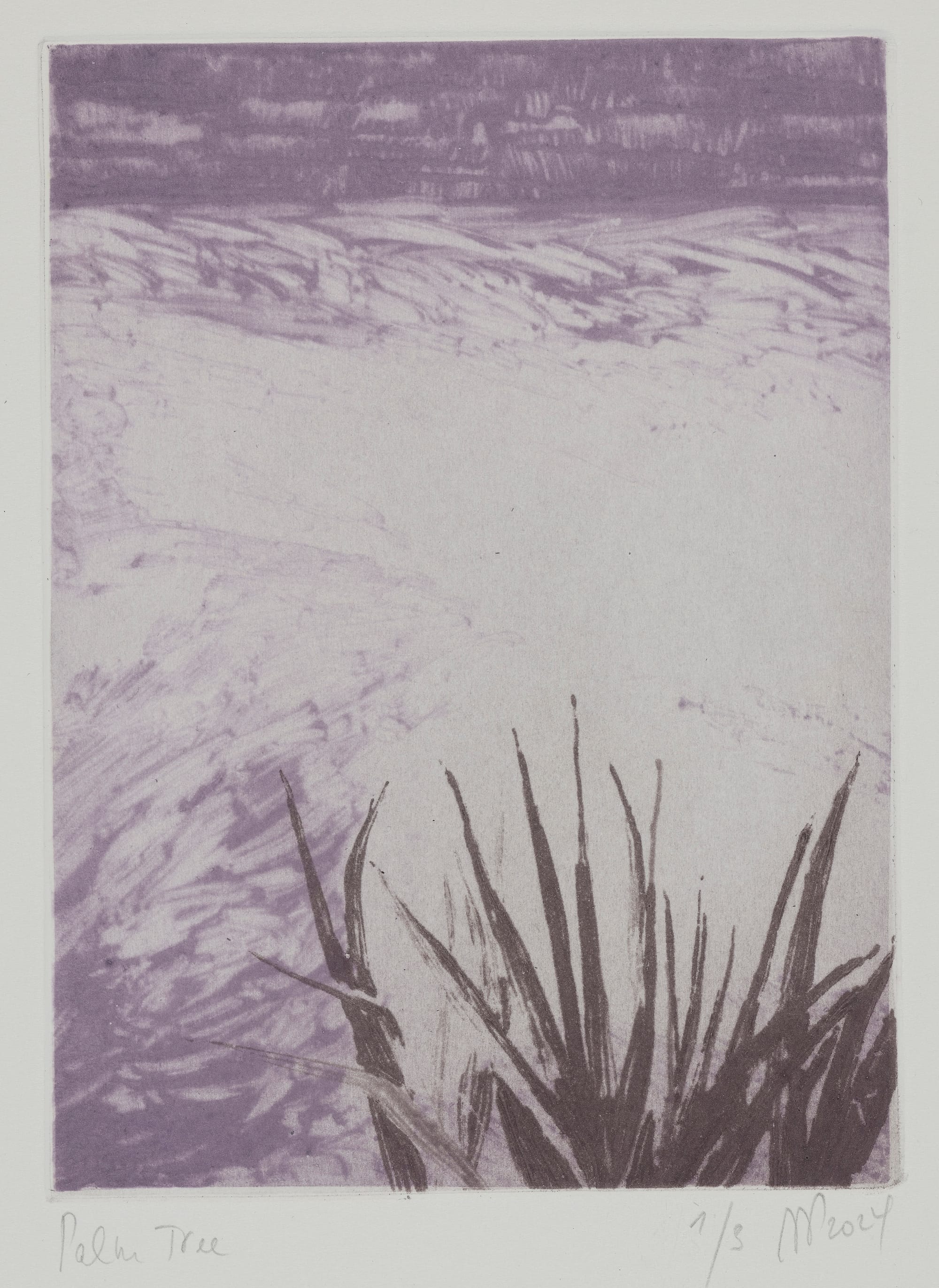 Palm Tree, 2024, gravure