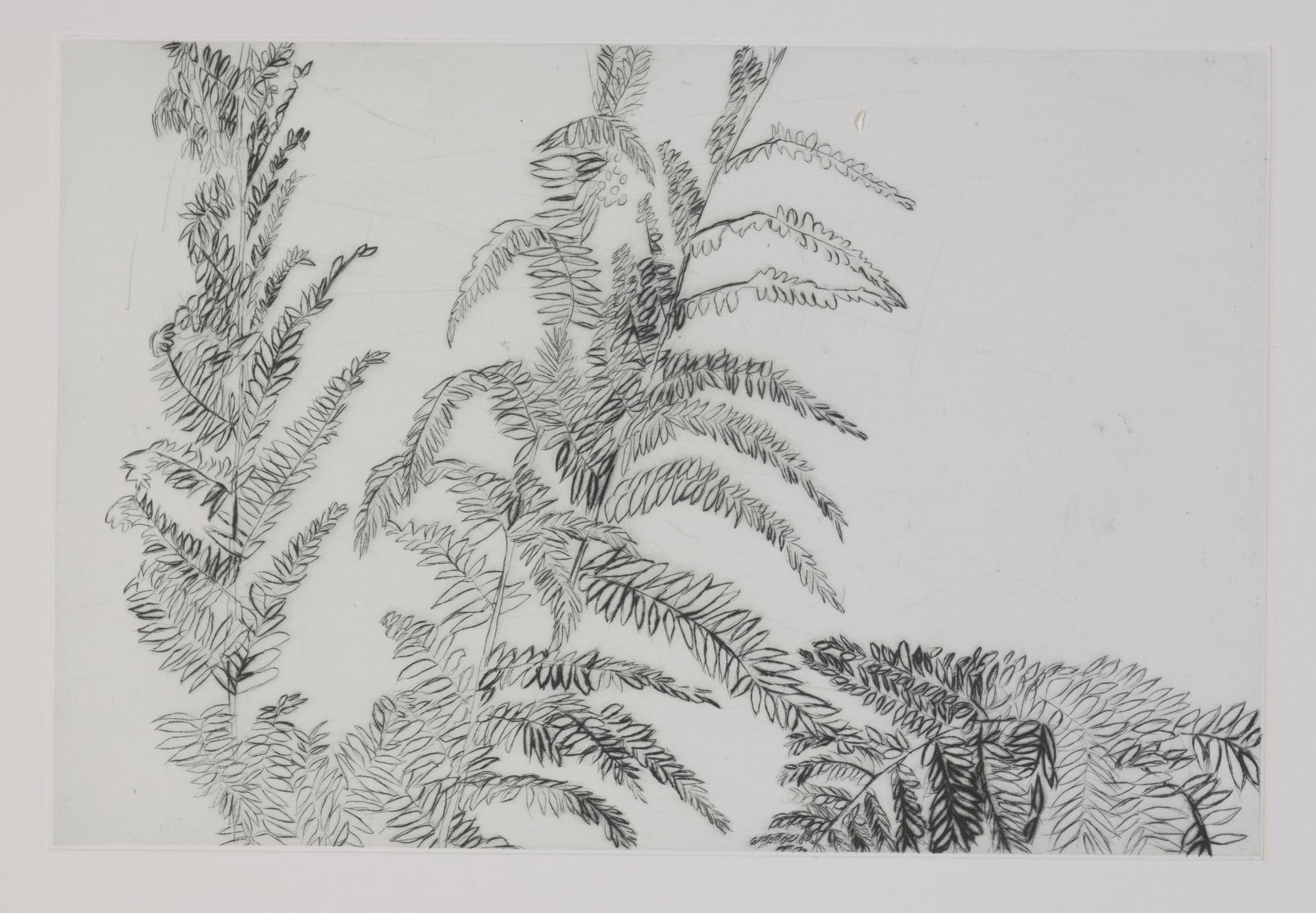 Gravure, 2024, 30 x 40 cm