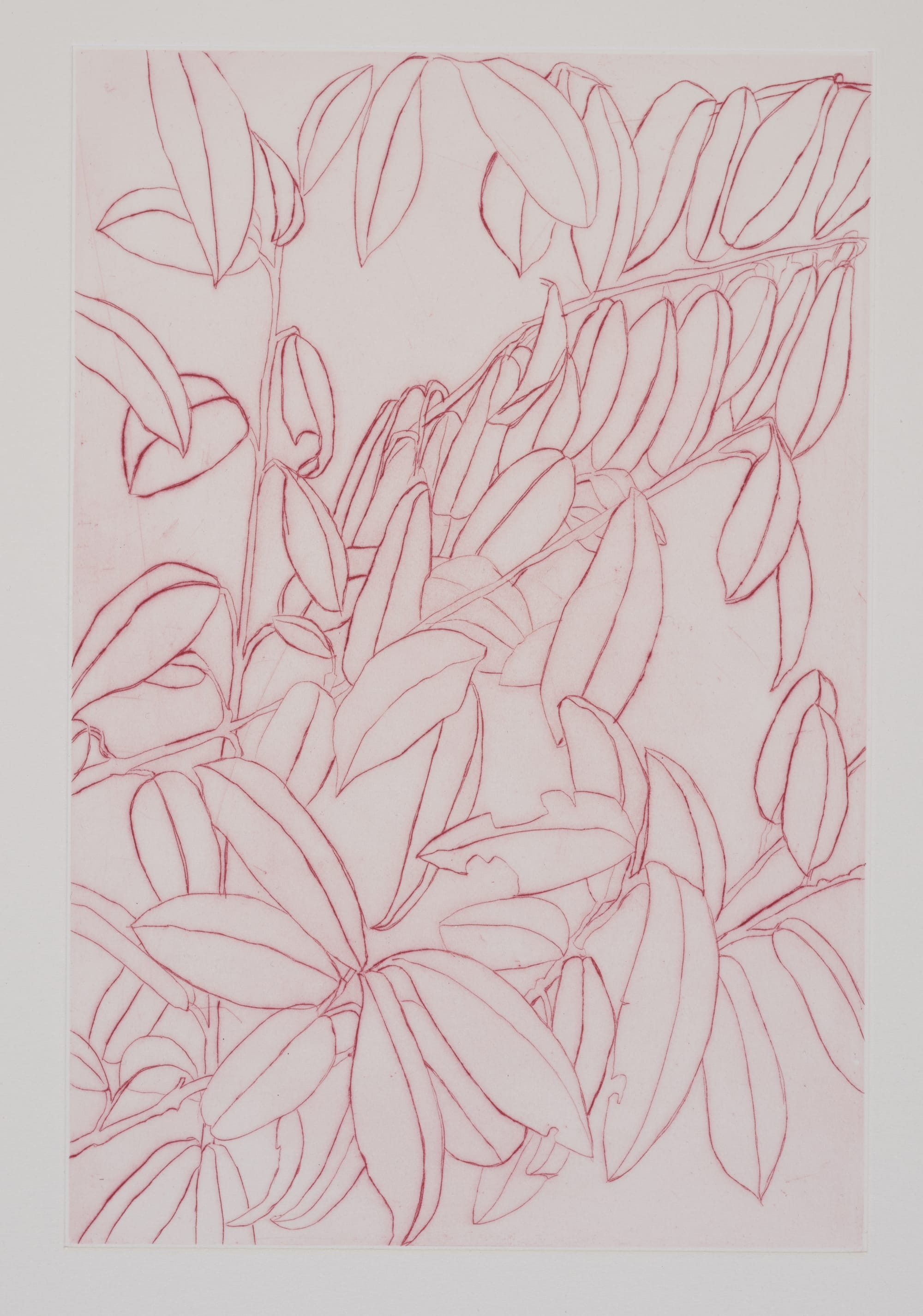 Gravure, 2024, 40 x 30 cm