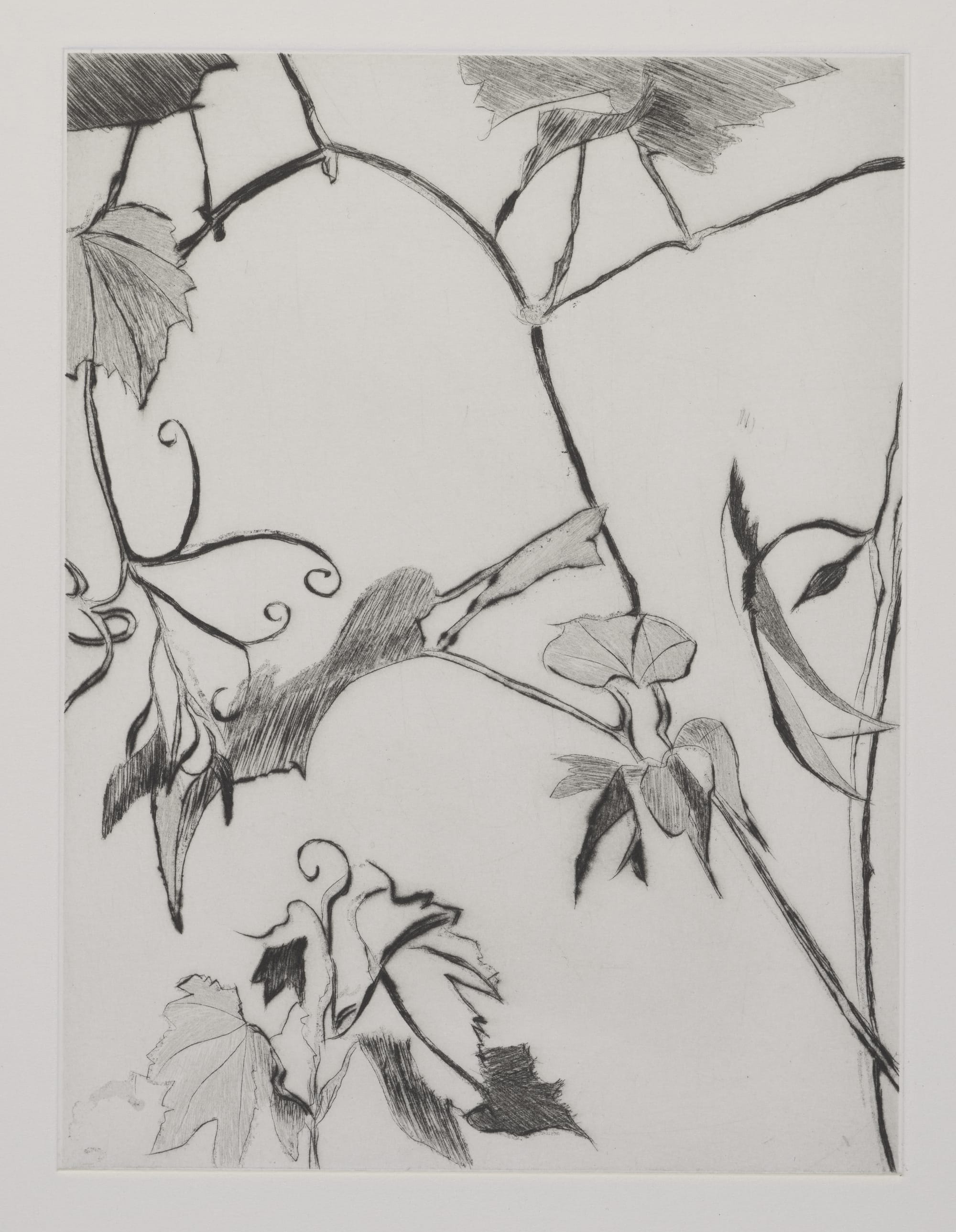 Gravure, 2024, 30 x 20 cm