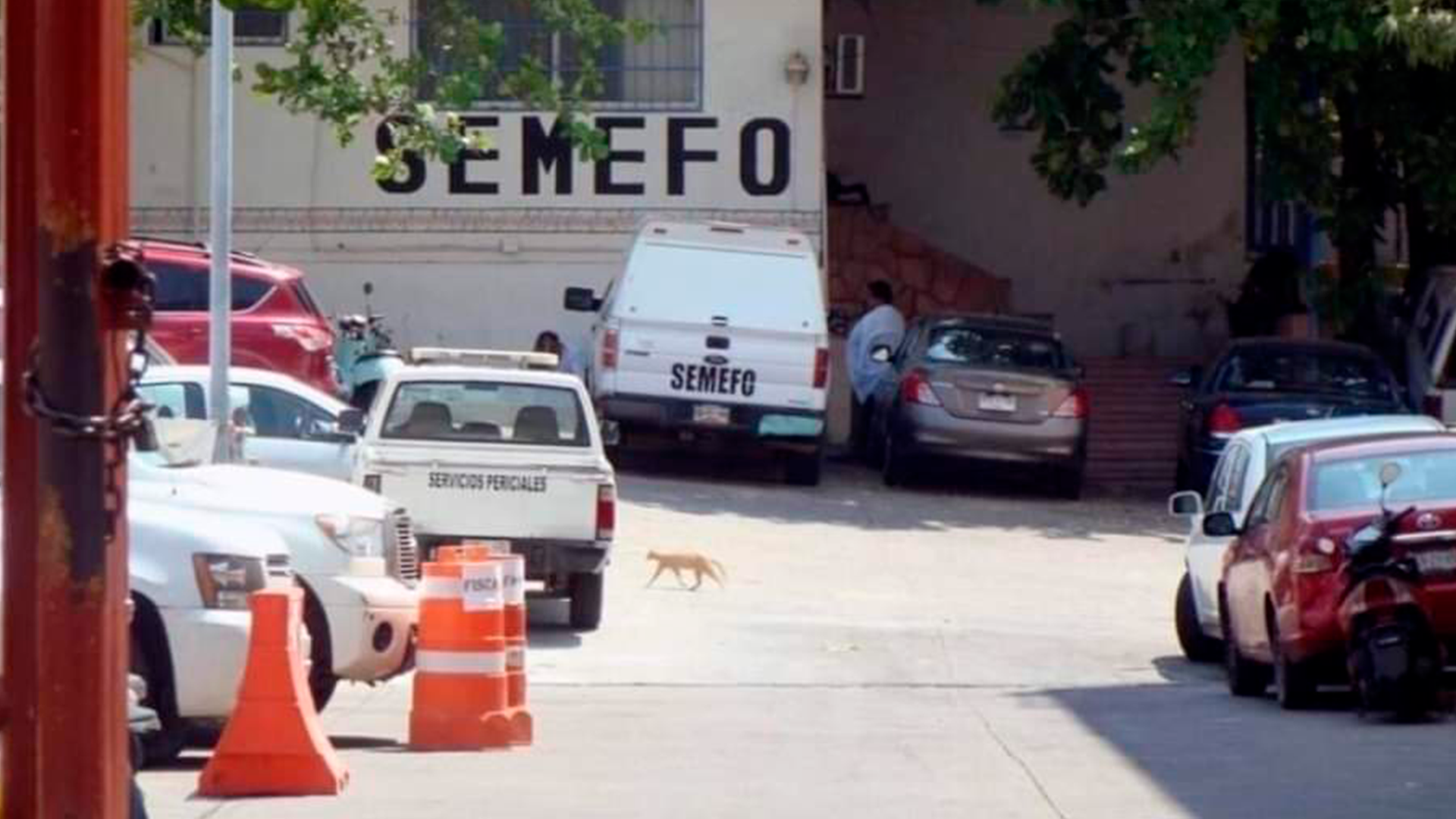 delincuencia en guerrero