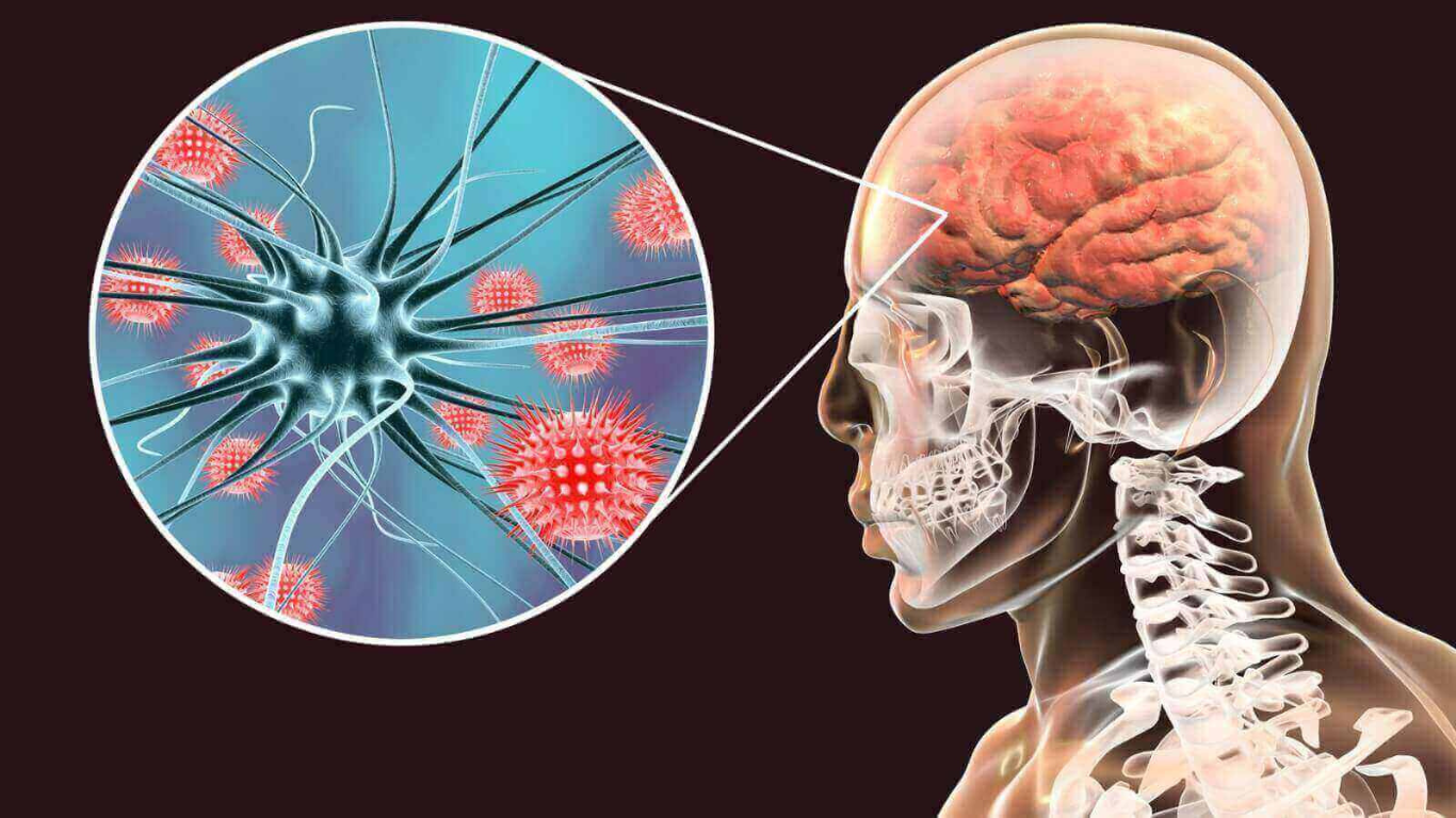 mañanera amlo meningitis tamaulipas