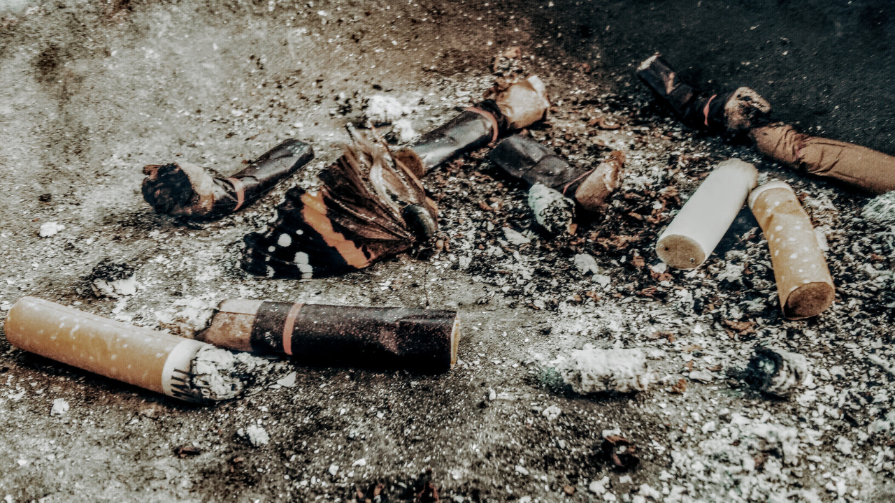 dia internacional sin tabaco