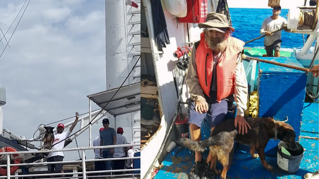 barco mexicano rescata naufrago y perra