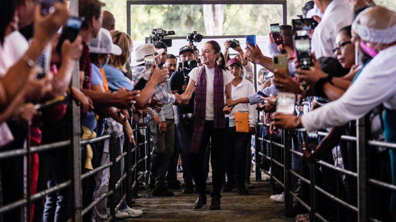 sheinbaum candidata a la presidencia