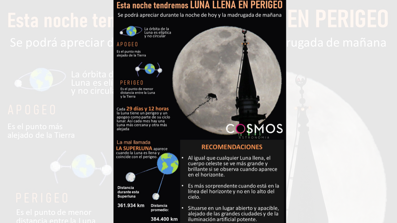 luna llena de ciervo como verlo