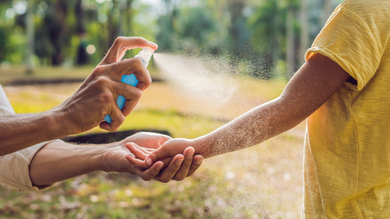 dia internacional contra el dengue