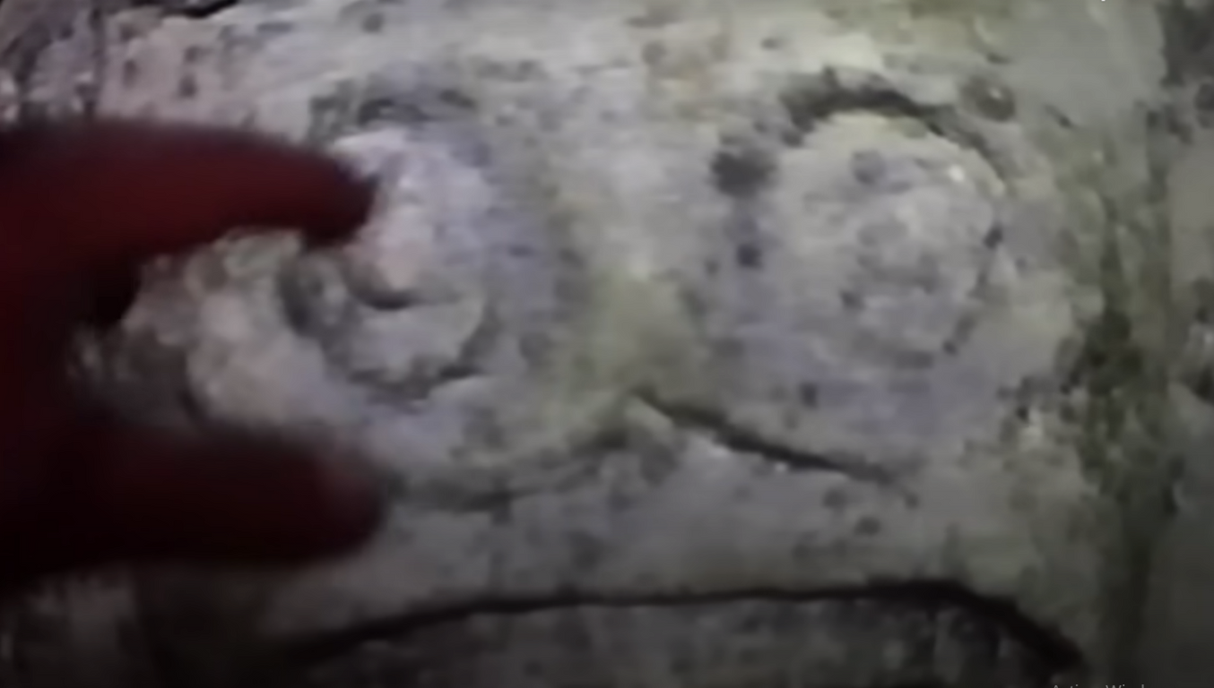 nueva pelicula terror v/h/s/85 gigi guerrero