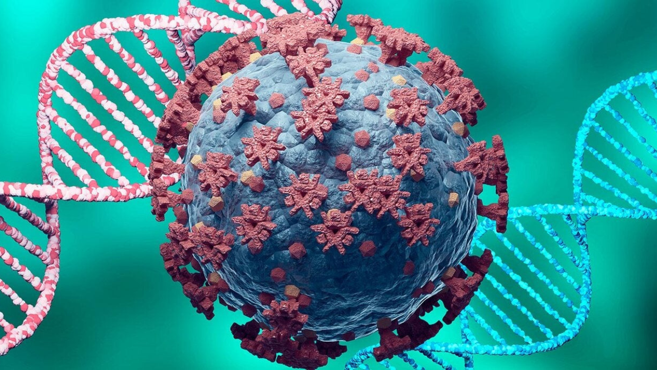 sars cov 2 virus covid 19 enfermedad mexico 2024