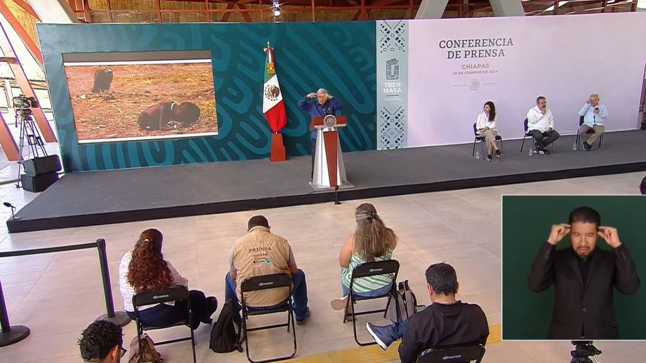 amlo mañanera