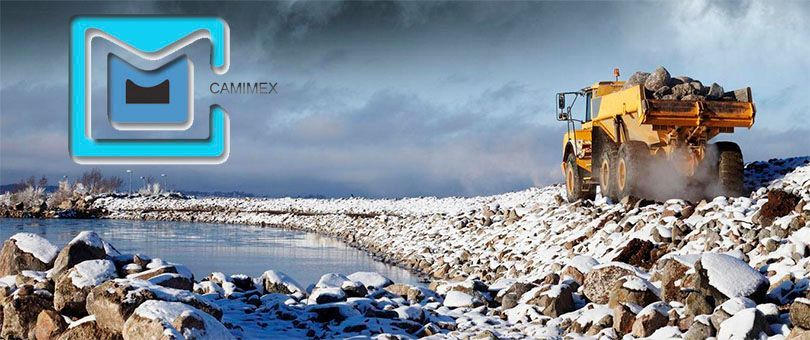 Empresas mineras reforestaron 3 mil 816 hectáreas en el 2021