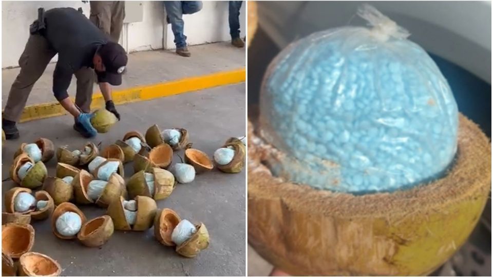 Decomisan 300 kg de fentanilo en cocos