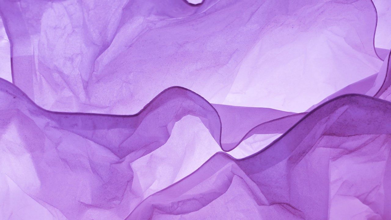 Cuatro mujeres han sido reportadas como desaparecidas durante los primeros días de febrero