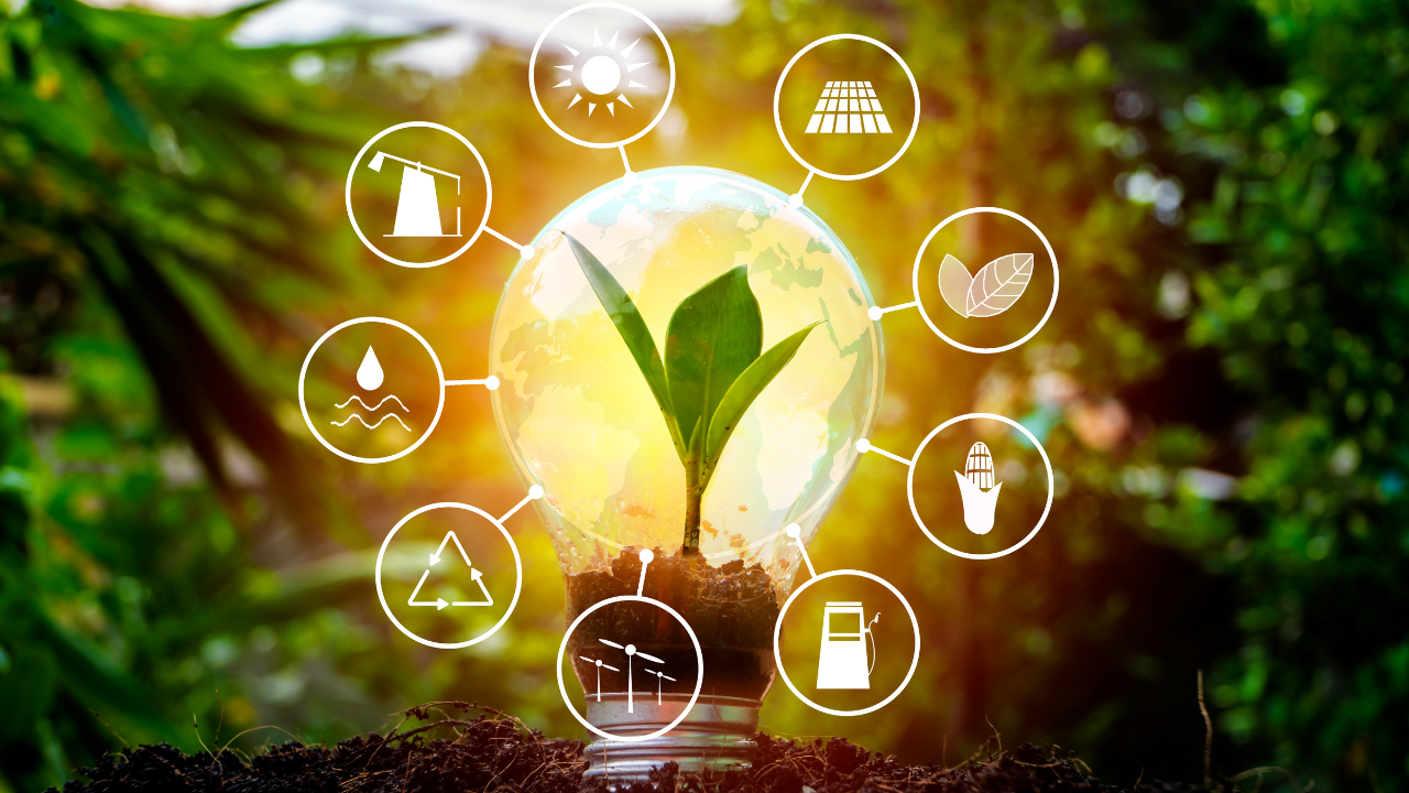 dia mundial del ahorro de energia 