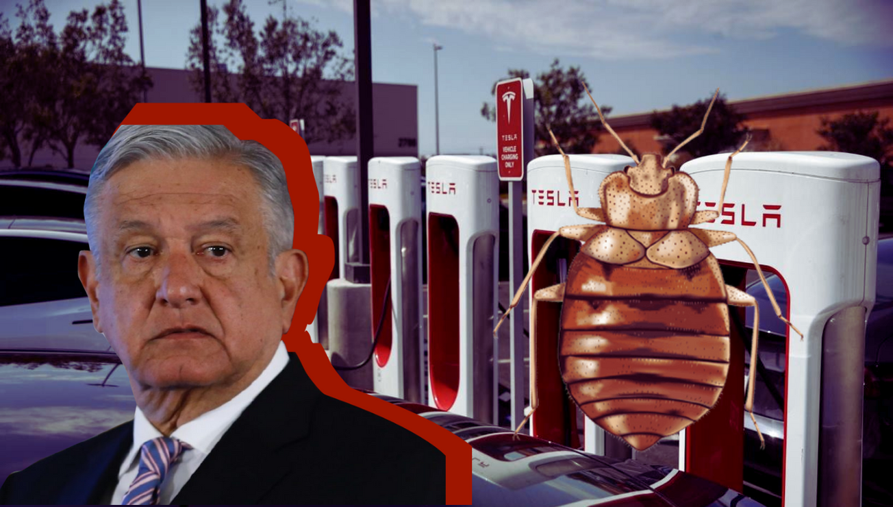 amlo mañanera