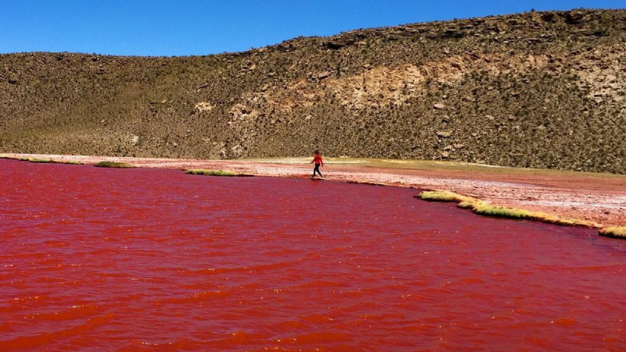 rio nilo se tine de rojo