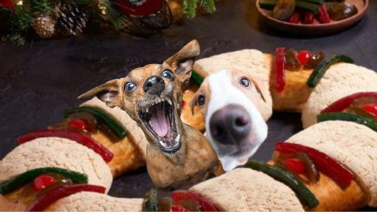 rosca perros