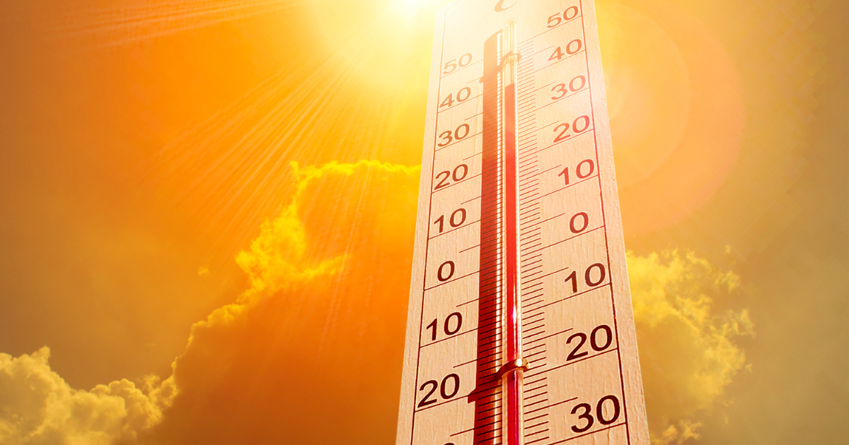 calor guerrero 