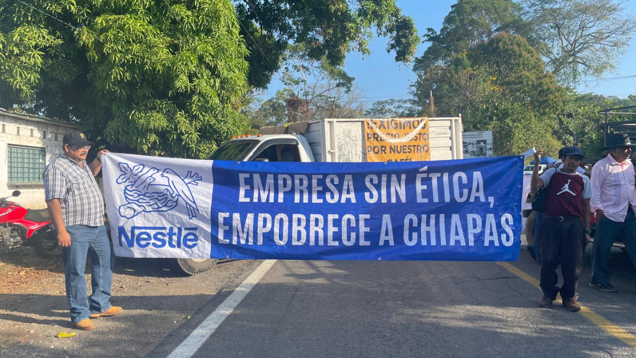 batalla de caficultores contra nestle en chiapas