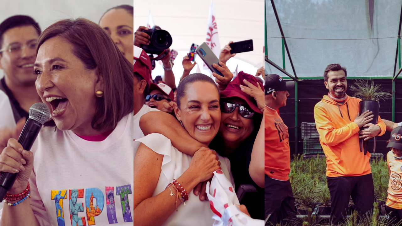 candidatos elecciones