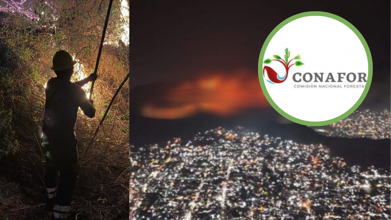 Guerrero, primer lugar nacional en incendios forestales