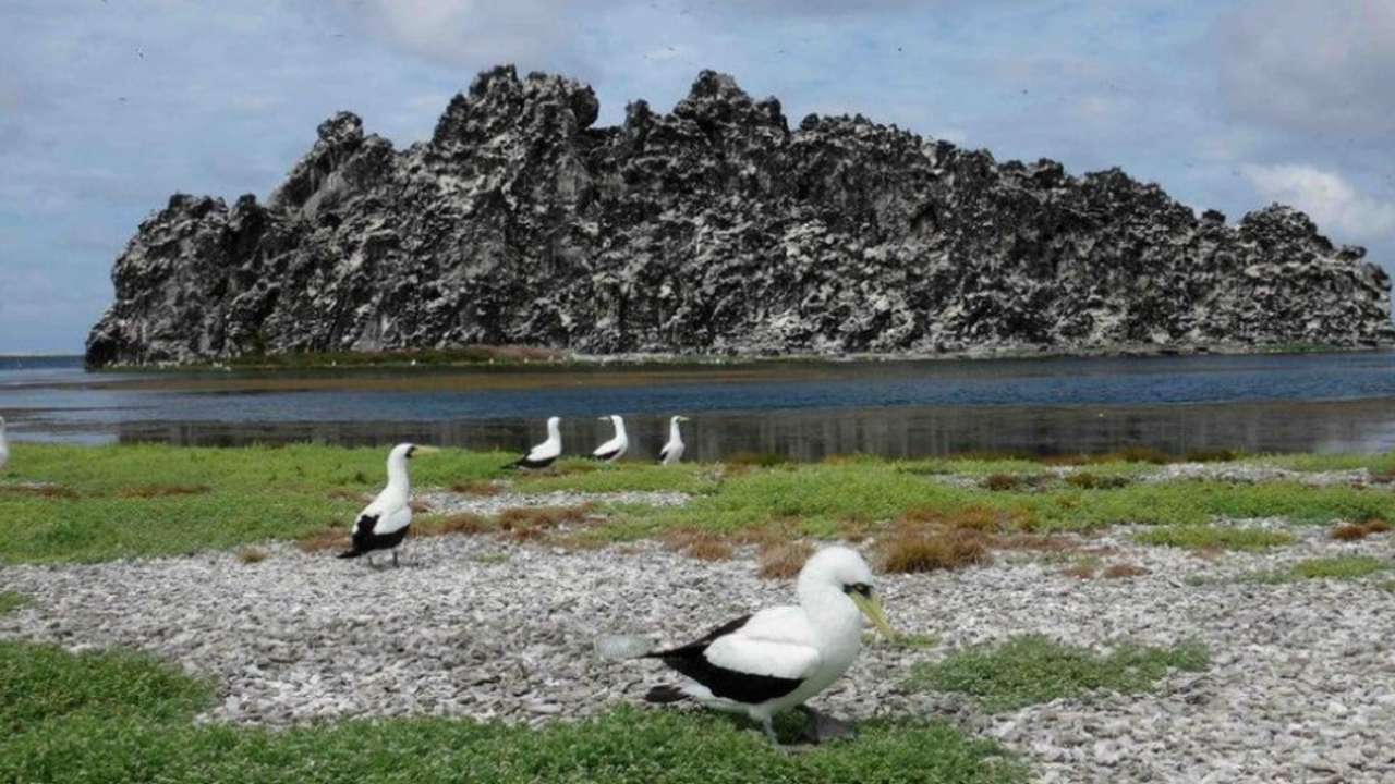 isla clipperton mexico territorio 