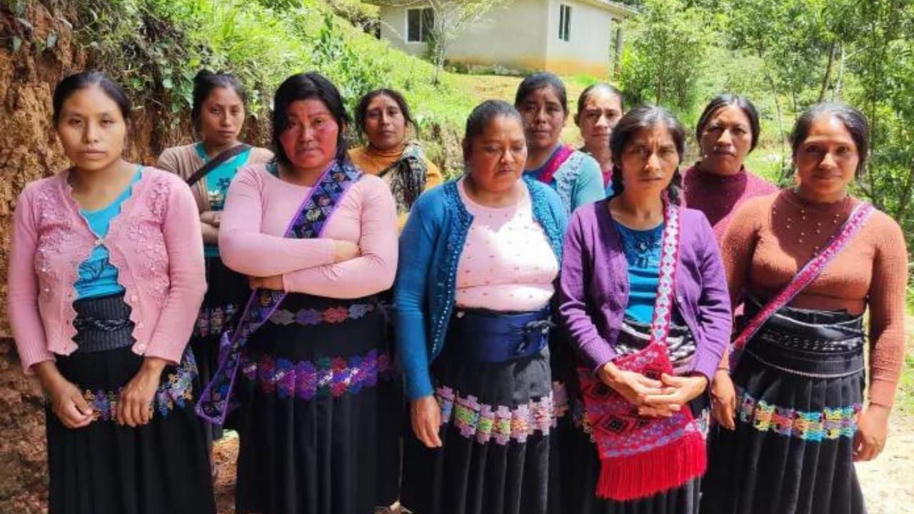 mujeres chiapanecas chiapas cafe zoque agricultoras caficultoras