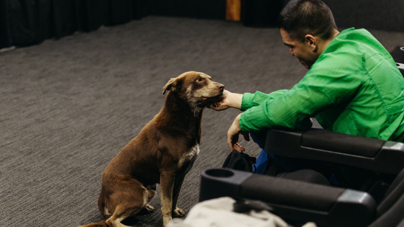 Cácaro, perrito callejero que se coló al Festival de Cine de Morelia, ¡ya tiene familia!