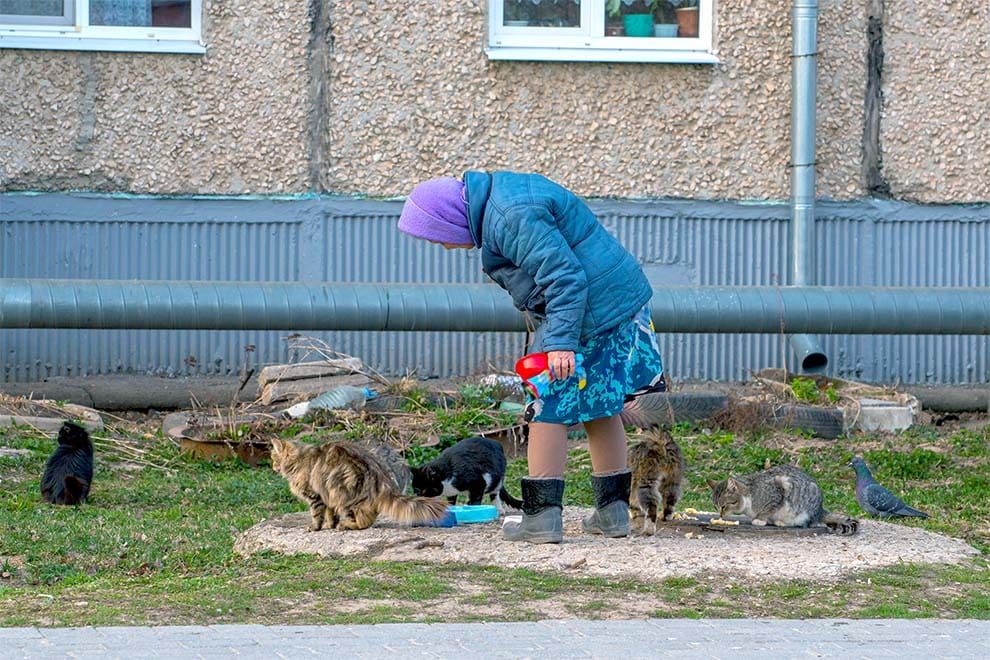 Síndrome del Arca de Noé: el peligroso trastorno que debes conocer