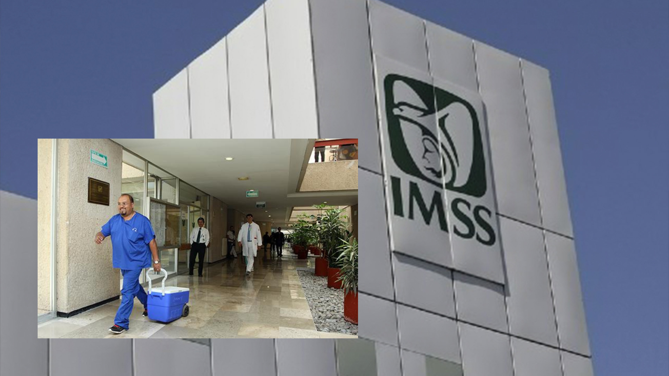 IMSS confirma meta histórica de más de 4 mil 500 trasplantes en 2026