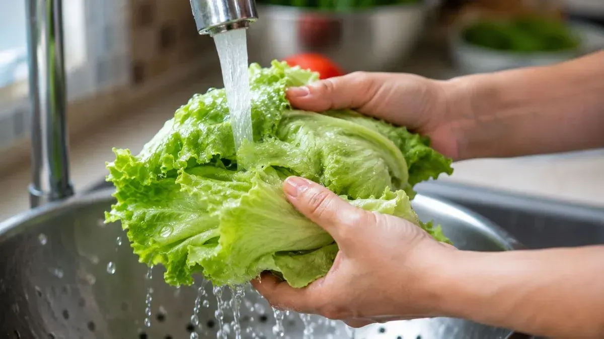Confirma México 3 casos de diarrea explosiva, ¿es verdad que es por lechuga contaminada?