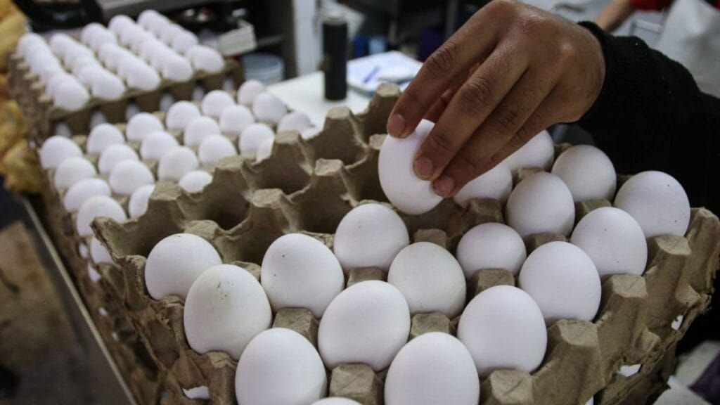 Subieron los huevos: El precio en México en su peor alza en 20 años