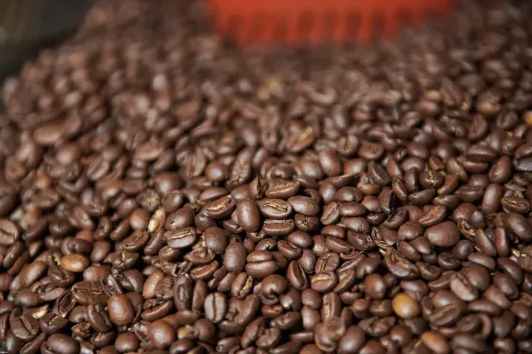 ¿Cuántas tazas de café son buenas para la salud y cuántas podrían afectar?