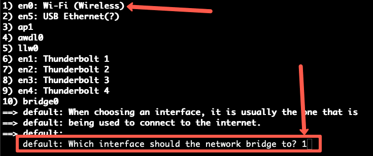 Vagrant public network bridge details