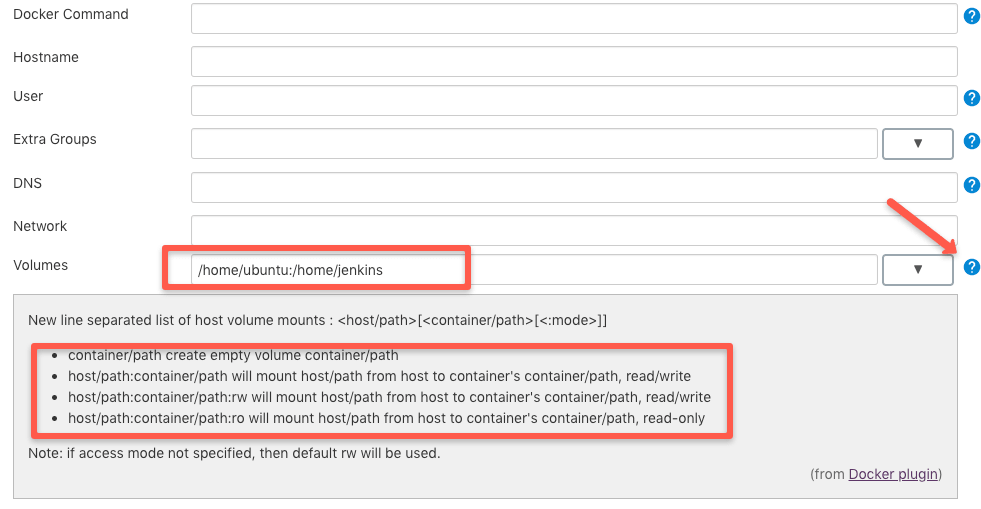 mount volume to Jenkins docker agent