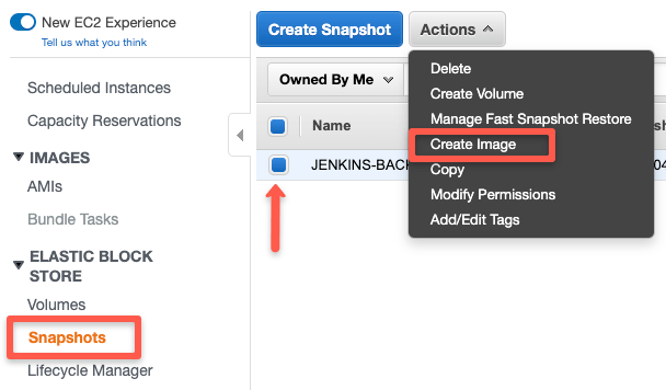 Create AMI from EBS snapshot.