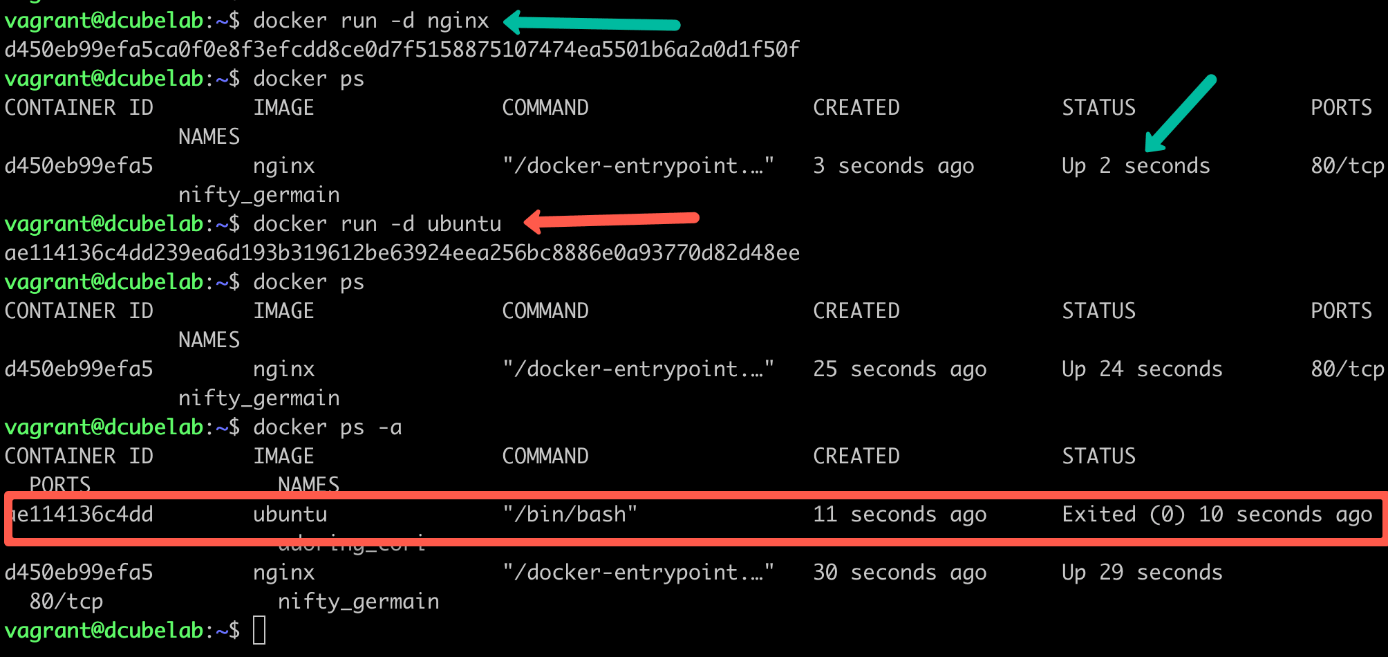 contianer running and exiting examples.