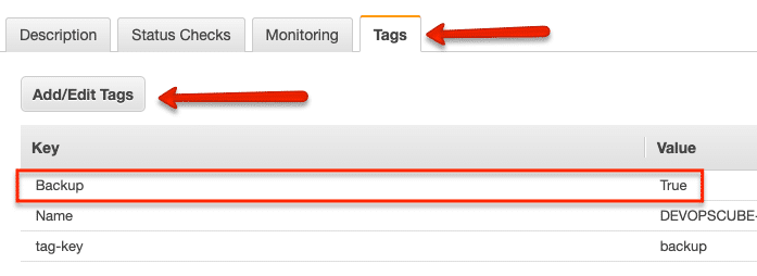 AWS tags for ebs snapshot automation