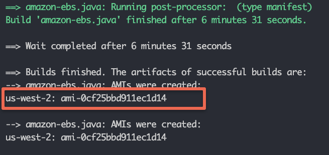 java application AMI Id from packer output.