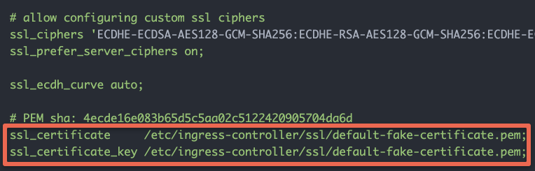 default Nginx ingress SSL certificates.