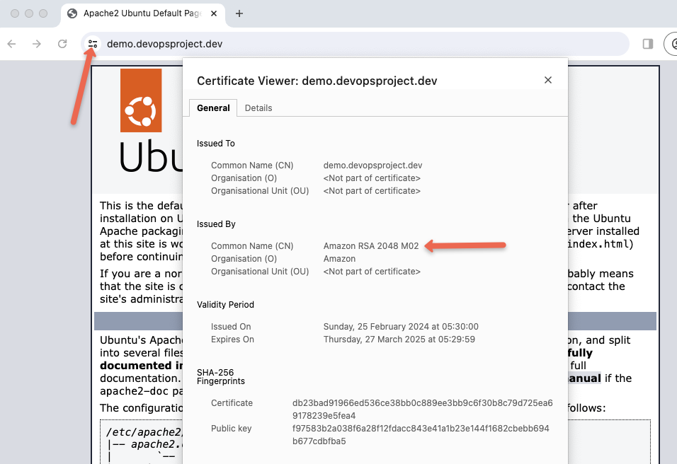 access the webserver over DNS with TLS from ACM