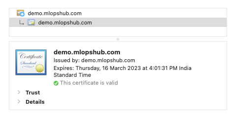 validate ingress TLS using the browser.