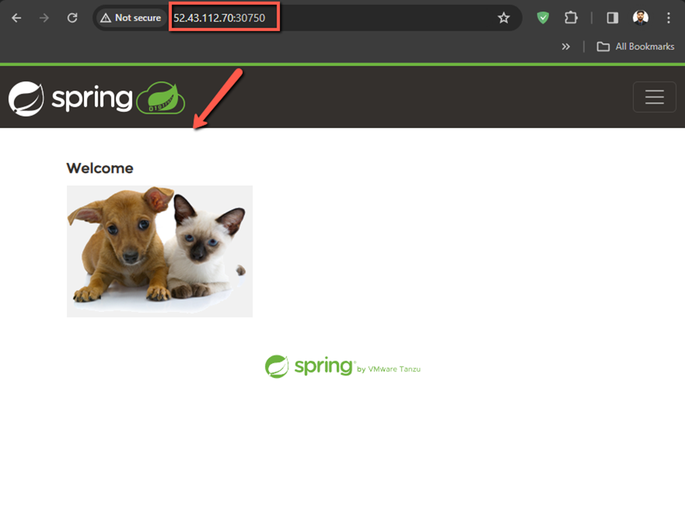 petclinic java app output