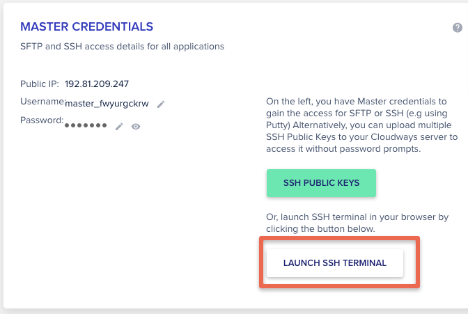 Cloudways SSH terminal