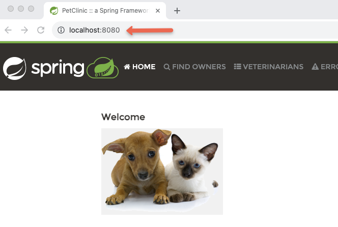 running java application using Docker on localhost port.