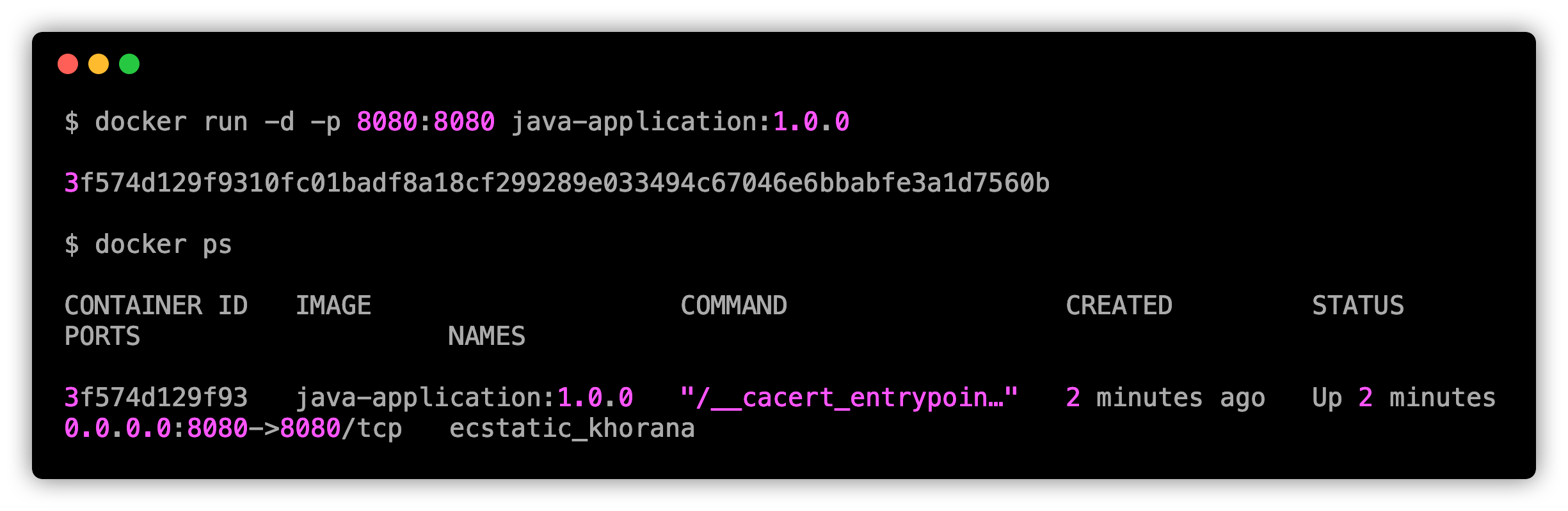 listing java application docker image