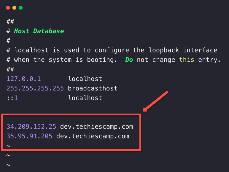 Describing the local DNS resolution configuration. 